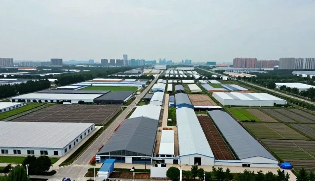 商务信息使用中的常见误区与有效维护策略