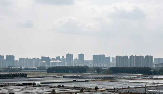 提升信息可靠性：企业管理咨询中的关键实践